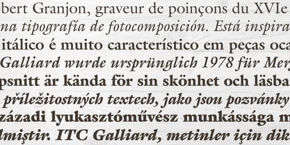 ITC Galliard Font Poster 5